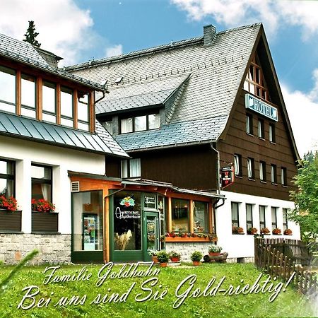 Ferienhotel Muehlleithen Klingenthal Exteriér fotografie