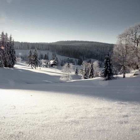 Ferienhotel Muehlleithen Klingenthal Exteriér fotografie